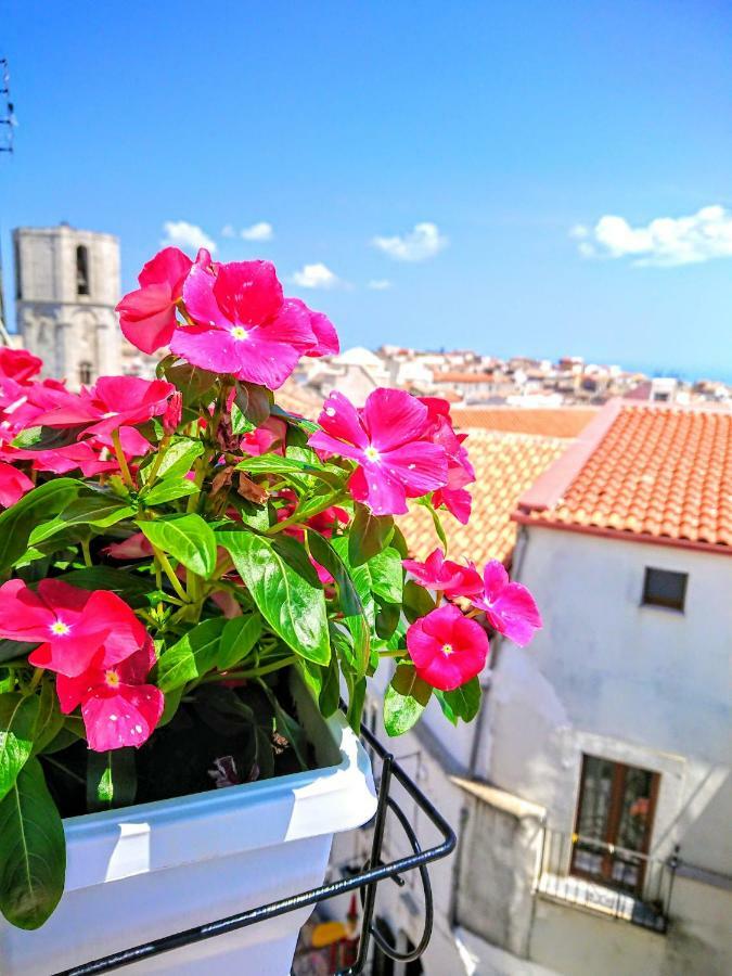 Rooms Gli Arcangeli 2 - Affitti Brevi Italia 圣安吉罗山 外观 照片